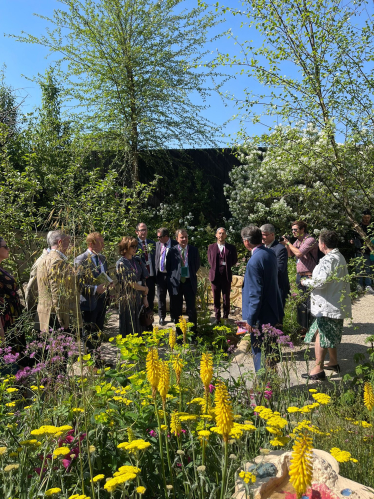 Chelsea Flower Show 1